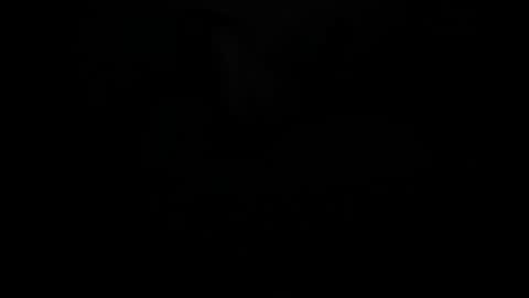 butterflyy1 online show from February 2025 03:19:01 AM