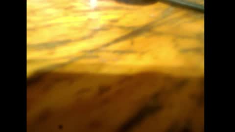 bzxxbzh online show from February 2026 04:14:02 PM