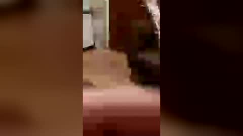 Snapshot of cachondo22fu chatting on July 2026 02:42:01 AM cachondo22fu online show from July 2026 02:42:01 AM