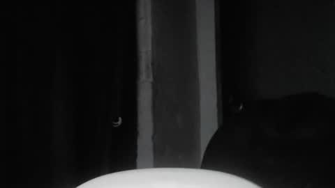 cafinfi1 online show from February 2026 01:45:04 AM