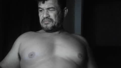 cafinfi1 online show from February 2026 02:41:01 AM