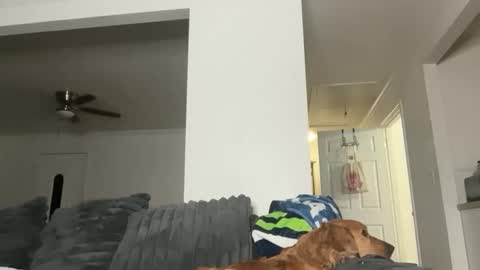 CaliCreamDaddy online show from May 2026 02:28:02 AM