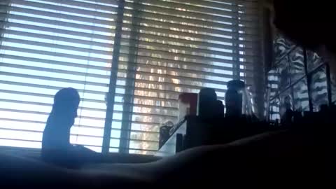 calisuperstars online show from April 2026 11:35:02 PM