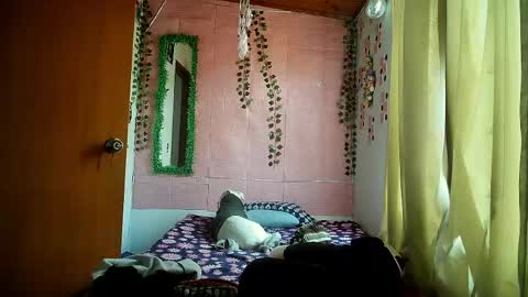 Snapshot of callme_lolas chatting on April 2026 09:16:02 PM paula online show from April 2026 09:16:02 PM