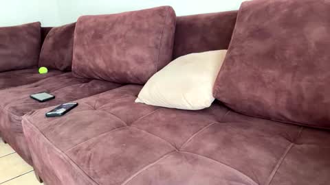 My name is Robert  Dont be shysay hi I love to chat. For requests or dirty talk please use tips  online show from February 2026 06:19:01 PM