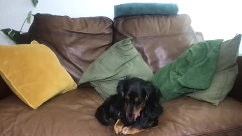 CamDoAttitude online show from April 2026 11:58:01 AM