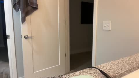 camiliakxoxo online show from December 2024 10:41:01 AM