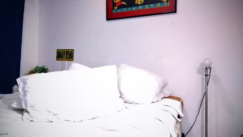 camilo online show from February 2025 11:15:01 PM