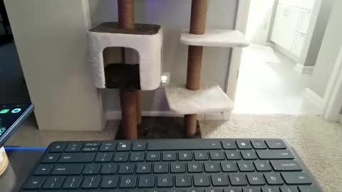 cammyman6900 online show from May 2026 05:12:01 AM