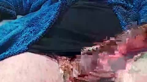 camone554cum online show from October 2025 04:49:01 PM