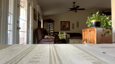 Snapshot of camperjay chatting on January 2025 09:25:01 PM james online show from January 2025 09:25:01 PM