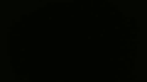 CanelaCollins online show from February 2026 05:03:01 AM