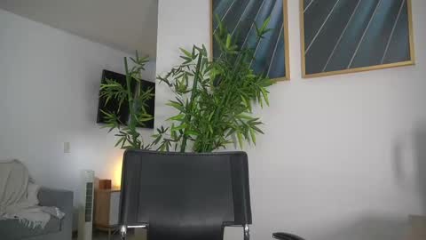 Snapshot of canelasungirl chatting on September 2025 07:36:01 PM Jency NEW IG IMCANELA   online show from September 2025 07:36:01 PM