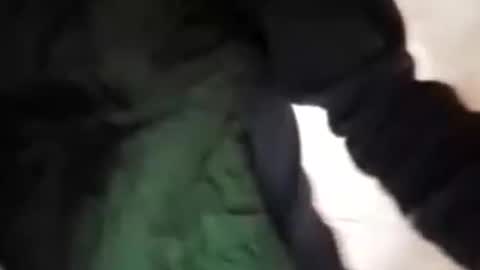 capri34 online show from September 2025 07:48:02 PM