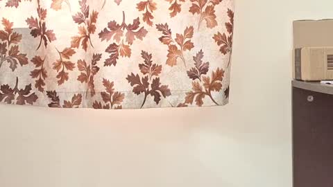 captian juicyprecum online show from March 2025 07:54:02 AM