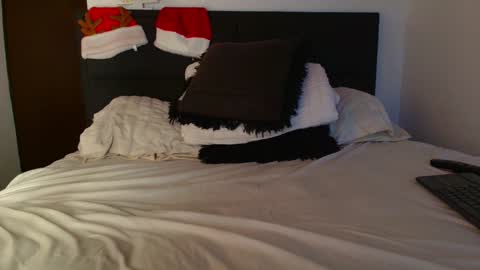 Snapshot of carlbadams96 chatting on December 2024 11:17:02 PM sebasfit online show from December 2024 11:17:02 PM