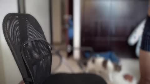 Snapshot of carlcarlinches4 chatting on March 2025 02:59:01 PM carlcarlinches4 online show from March 2025 02:59:01 PM