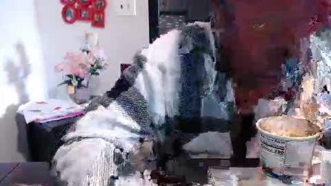 Carlie online show from March 2026 02:45:03 PM