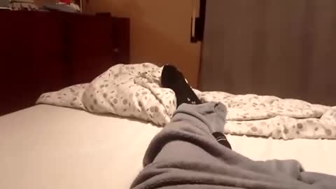 Snapshot of carlitito1 chatting on October 2025 07:17:01 AM carlitito1 online show from October 2025 07:17:01 AM