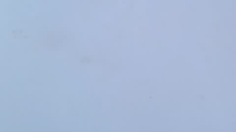 caro online show from February 2026 03:24:01 AM