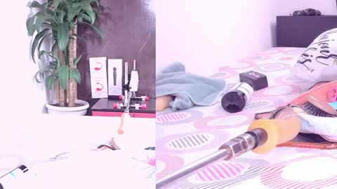 Carol online show from March 2026 11:05:02 AM