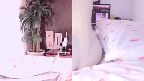 Carol online show from March 2026 11:02:01 AM