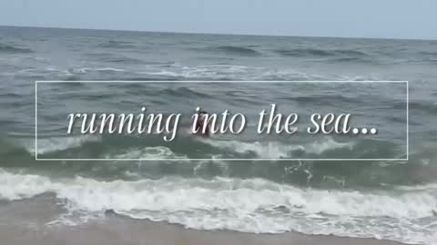 carrie madsin online show from April 2026 06:24:02 PM