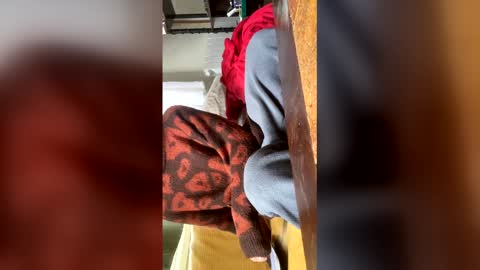 Snapshot of carrrigggg chatting on March 2026 09:15:02 AM carrrigggg online show from March 2026 09:15:02 AM