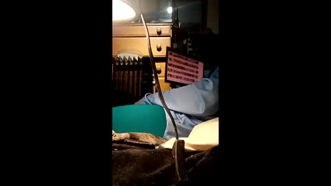 Snapshot of caryb chatting on February 2026 08:56:01 AM caryb online show from February 2026 08:56:01 AM