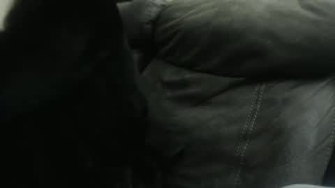 Snapshot of casidy1 chatting on January 2025 10:32:02 AM casidy1 online show from January 2025 10:32:02 AM