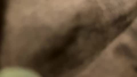 Snapshot of casidy1 chatting on February 2025 11:21:02 PM casidy1 online show from February 2025 11:21:02 PM