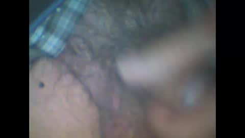 castells online show from November 2025 05:09:01 PM