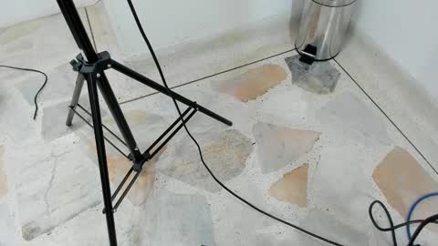 catalina ada online show from March 2025 05:46:01 PM