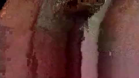 catdaddy179057 online show from March 2026 10:54:02 AM