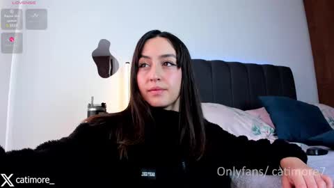 Catimore online show from February 2025 02:12:02 PM