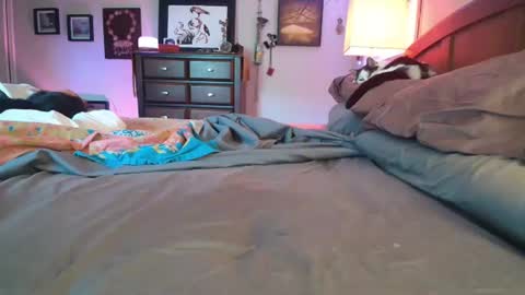 Snapshot of catnips_cabaret chatting on July 2026 05:19:01 PM some call me djcatnips some call me CC but i love it when you call me miss catnips online show from July 2026 05:19:01 PM