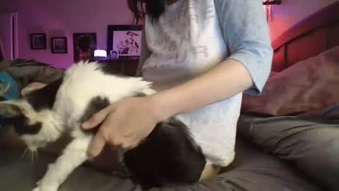 Snapshot of catnips_cabaret chatting on July 2026 03:00:02 AM some call me djcatnips some call me CC but i love it when you call me miss catnips online show from July 2026 03:00:02 AM