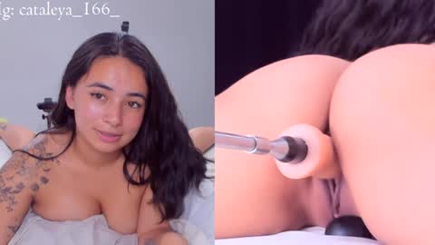 Cattleya Annie  online show from December 2024 12:43:02 AM