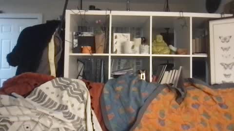 cattypants online show from September 2025 10:48:02 AM