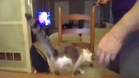 Snapshot of cbisc chatting on March 2026 12:10:02 AM cbisc online show from March 2026 12:10:02 AM