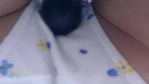 Snapshot of cbz112233 chatting on February 2025 09:27:02 PM ANNYANNY online show from February 2025 09:27:02 PM