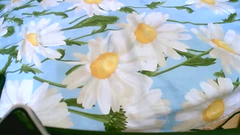 cerminah online show from November 2025 01:11:01 PM