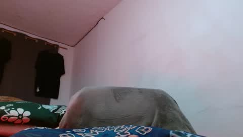 cesar_master_ online show from April 2026 07:58:01 PM