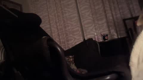 Snapshot of cfnmfriendly chatting on October 2025 04:06:02 PM cfnmfriendly online show from October 2025 04:06:02 PM