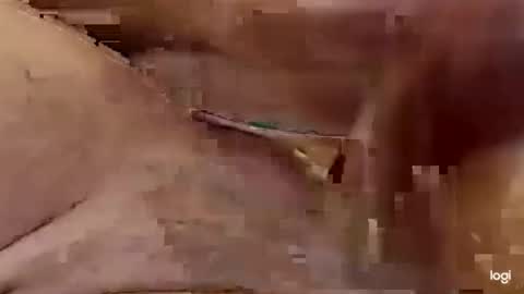 cfnmkinky28 online show from January 2025 04:07:01 AM