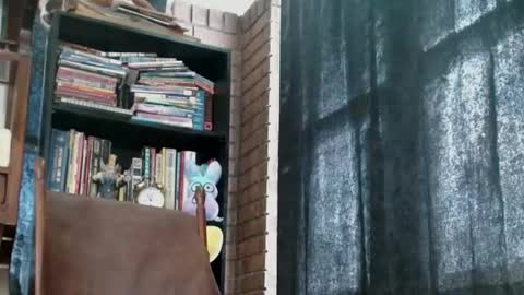 cguffey2284 online show from February 2025 04:05:01 PM