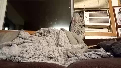 Snapshot of chad1980420 chatting on February 2026 12:37:02 AM Chad420247 online show from February 2026 12:37:02 AM