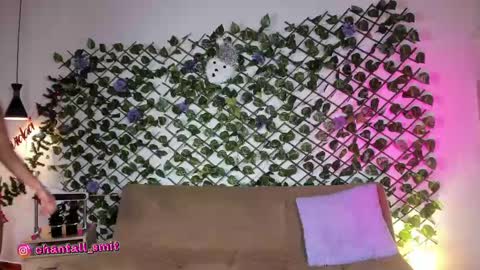 Snapshot of chantall_smith chatting on December 2024 01:38:02 PM online show from December 2024 01:38:02 PM