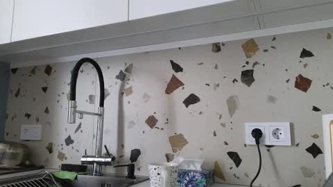 Stern online show from March 2026 06:31:02 AM