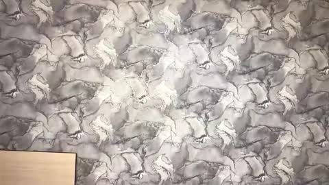 Ayano online show from November 2025 09:41:01 AM